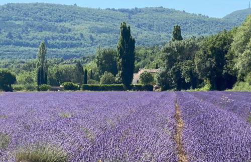 Gîte Le Tramontane Meublé de tourisme 4 étoiles Le Moulin de Prédelles - Foto 9