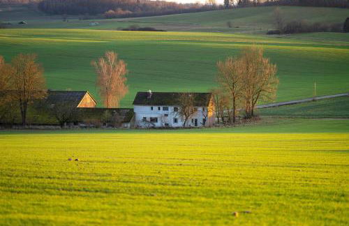 Bühberg Alm - Foto 3