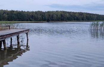 Domek letniskowy Marksoby Sarna - Foto 13