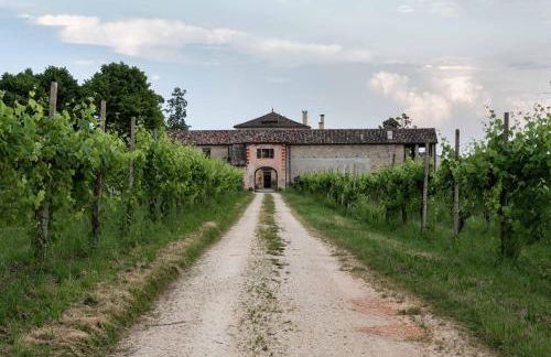 Fiori&vigne di Cecilia Marcon - Foto 32