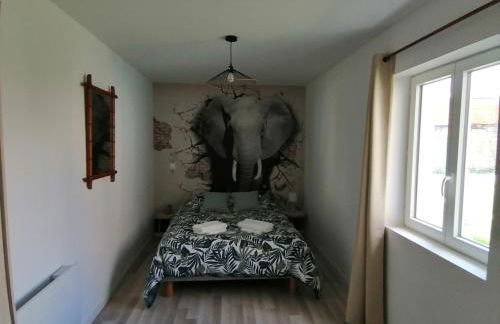 Jungle Zen Beau T2 avec jardin Gare 100m - Foto 19