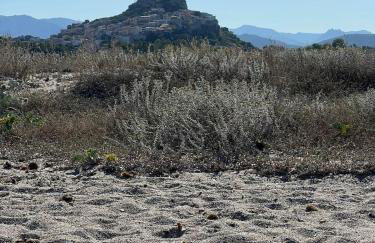 Sardinia Dream Home - Foto 14