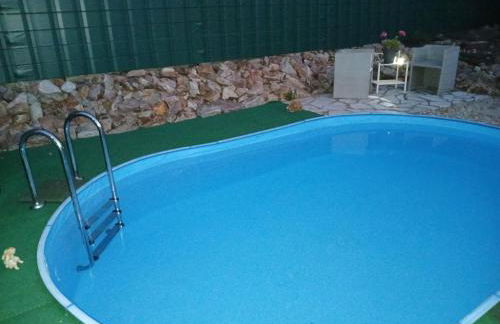 Chillkröte - Foto 11