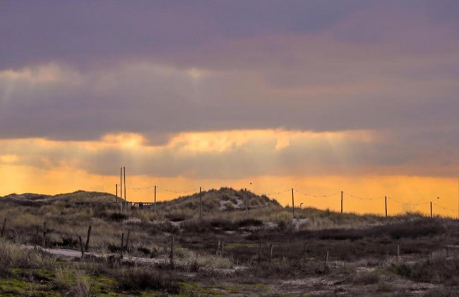 Holiday Home in Noordwijk Near Beach - Photo 24