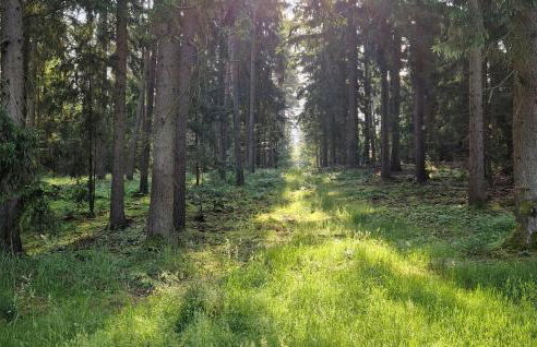 Cozy Home In Stara Dobrzyca With Wifi - Foto 23