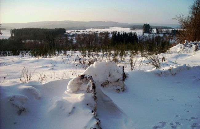 Beautiful Holiday Home in Redu With Whirlpool - Foto 36