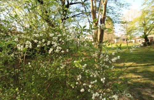 "Vicinia" with garden in the castle - Foto 23