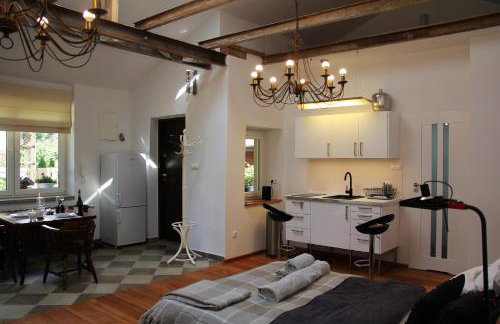 Studio Nałęczów - Foto 7