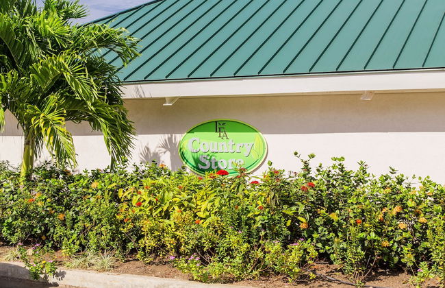 Ocho Rios Villas at Coolshade II - Photo 3