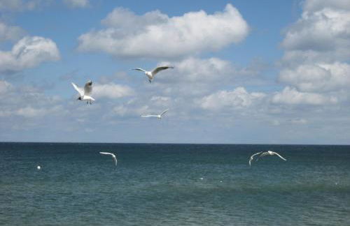 Appartement auf Rügen - Foto 49