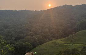 Cabana recanto do arruda - Foto 4