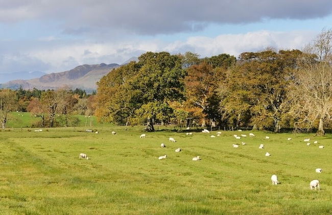 Finnich Cottages - Photo 51