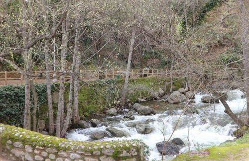 La Garzona - Foto 40