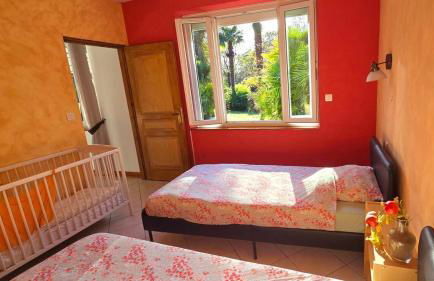 Les palmiers de Valence - Foto 15