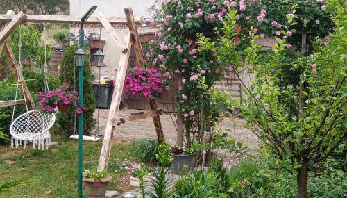 Gospodarstwo agroturystyczne - Foto 5