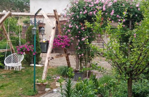 Gospodarstwo agroturystyczne - Foto 5