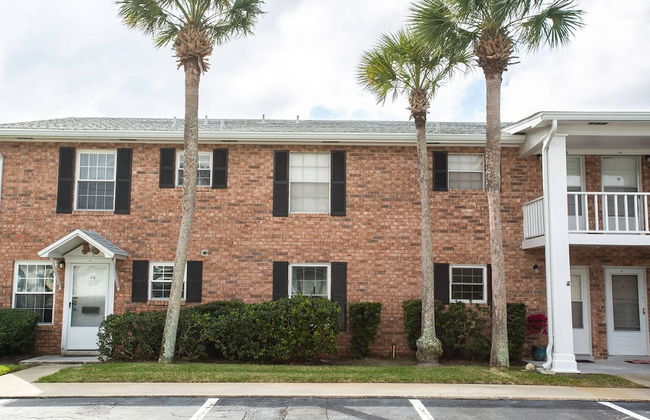 The Octopus Sanctuary - Foto 7