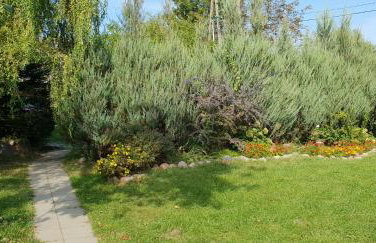 Aleksandrówka - Domek Aleksander - Foto 33