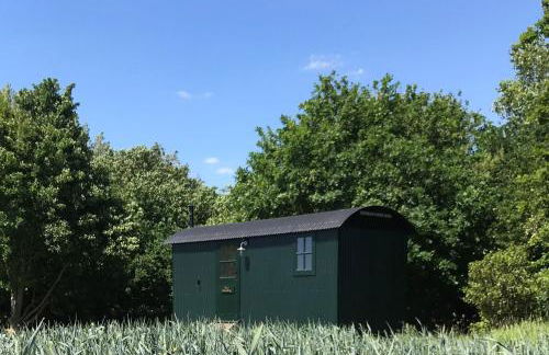 Barnham Court Farm - Photo 13