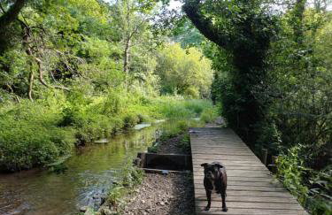The Conifers 3 Room Small but Stylish Self Catering Bedsit Flat in Nature Reserve Free Eden taxi b4 9pm no lounge - Photo 23