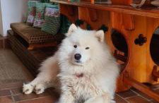 Kauperhaus - Photo 9