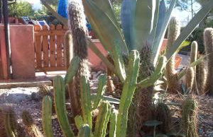 Gavila's Residenza Turistico Alberghiera - Foto 37