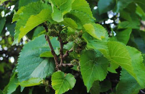 Cosy House in La Sabinita with Mountain View - Foto 25