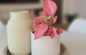 TARNO Lake Apartment - Foto 24