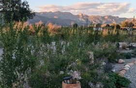 MASIA CLOTATS - Photo 41