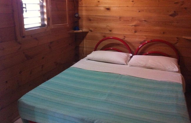 Viola Club Village - Photo 16