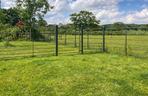 Barleycorn - Foto 10