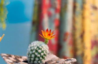 Le Finestre sul Mare - Foto 29