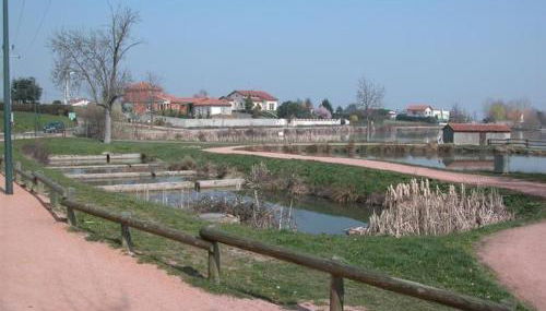 Gîte cosy pour 2 avec jardin et cheminée à Montbrison - FR-1-496-158 - Foto 3