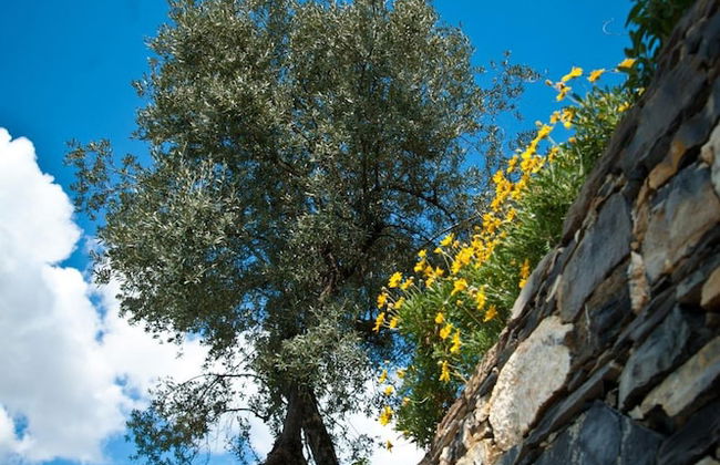 Il Giardino di Fe - Foto 52