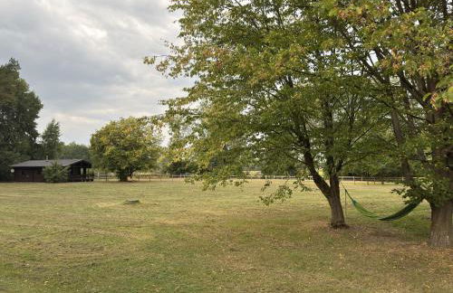 Apartment in Eschede, Luneburg - Foto 28