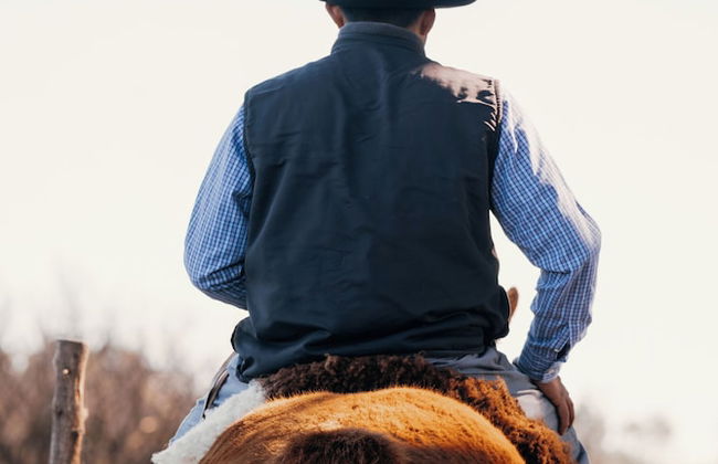 La Santina Posada & Experiencia de Campo - Foto 17