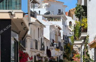 La Noria de Alicia - Foto 21