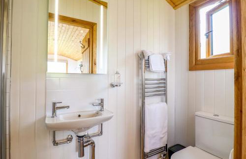 Defaid Cymreig - Foto 18