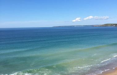 White Willows - Photo 24