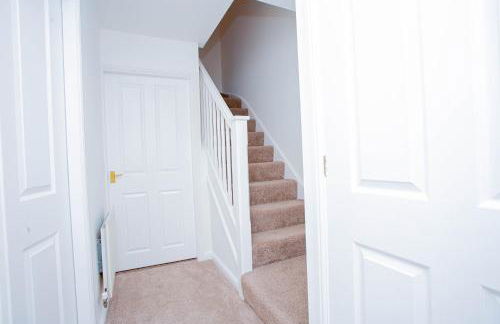 Intellect Suites - Photo 16