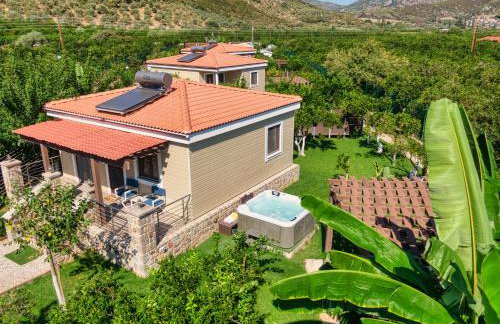 Desa Green Homes - Photo 7