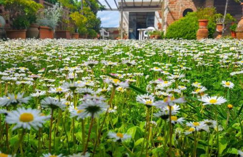 Bellavista la tua romantica vacanza sul Trasimeno - Foto 30