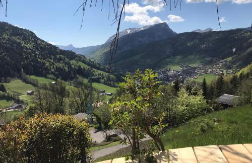 La marmotte qui papote - Photo 27