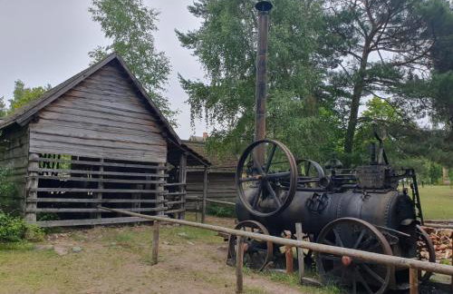 LEŚNY KĄCIK - Foto 34