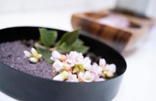 Ferienwohnung Mara - Foto 14