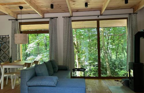 Rogaty Domek przy Bobrowisku - Foto 15