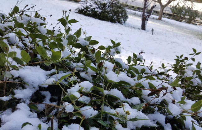 Tenuta Cavalieri - Foto 40