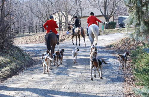 Villa Maud - Foto 37