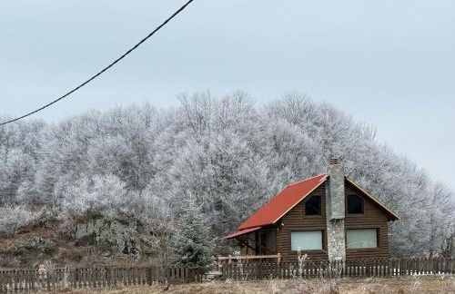 Oxygono wooden house - Photo 22