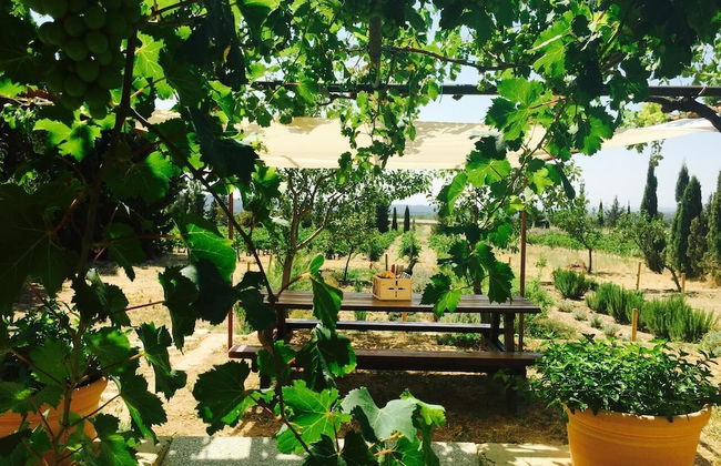 El Recer de Masia Serra - Adults Only - Foto 29